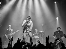 Suede on Oct 12, 2022 [554-small]