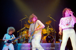 The Firm , tags: The Firm, Tampa, Florida, United States, USF Sundome - The Firm / Virginia Wolf on Mar 14, 1986 [359-small]