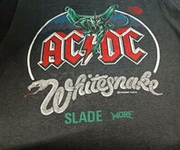 AC/DC / Whitesnake / Blue Oyster Cult / Blackfoot / Slade on Aug 22, 1981 [508-small]