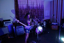 The Shakin' Nightmares / The Snakerattlers / Klammer / Skinny Milk on Jul 14, 2018 [807-small]
