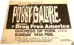 Pussy Galore on Feb 14, 1988 [144-small]