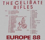 The Celibate Rifles on Aug 8, 1988 [200-small]
