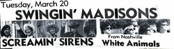 Swinging Madisons / Screaming Sirens / White Animals on Mar 20, 1984 [108-small]