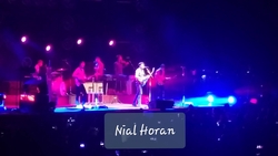 Niall Horan / Maren Morris on Aug 17, 2018 [241-small]