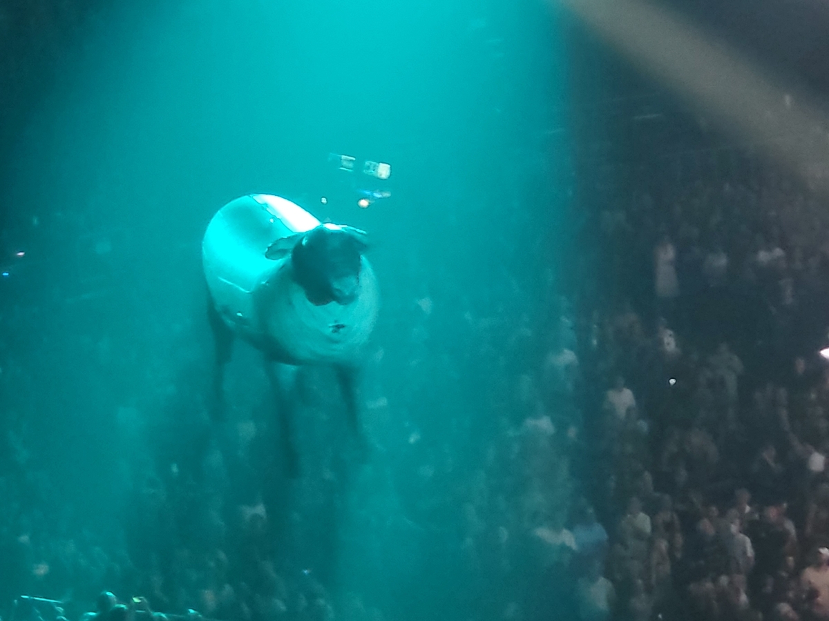 Concert History of Ball Arena Denver, Colorado, United States (Updated