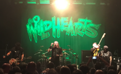 The Wildhearts on Dec 2, 2018 [632-small]