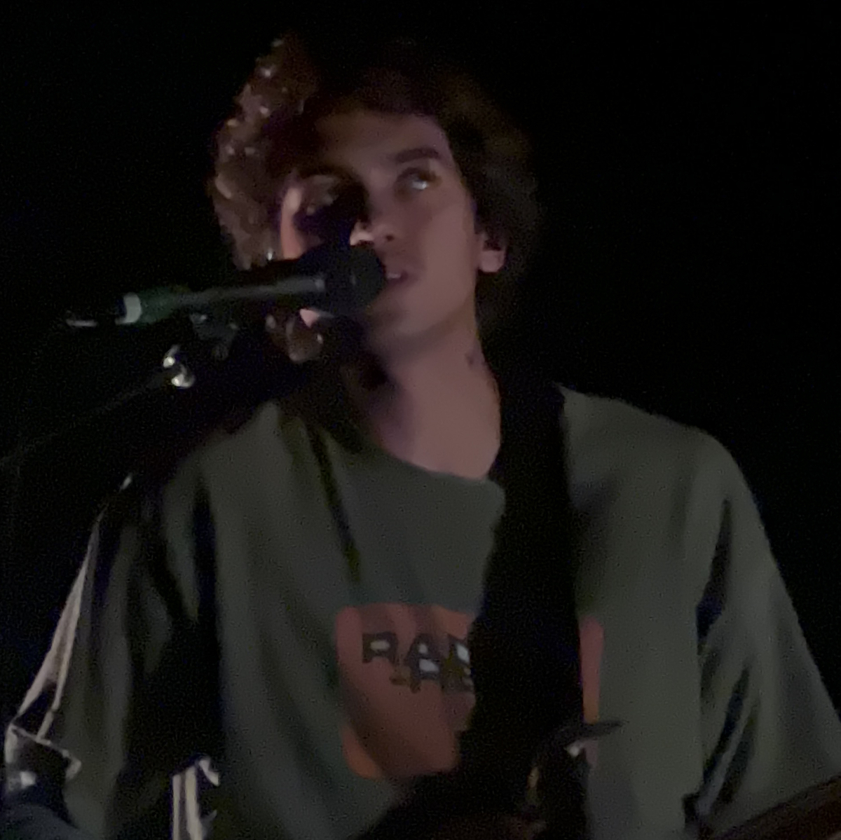 Dominic Fike Concert Setlist 2025 Pavla Chelsey