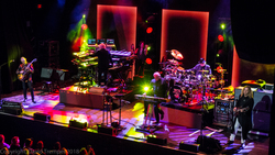 Yes on Jul 7, 2018 [077-small]