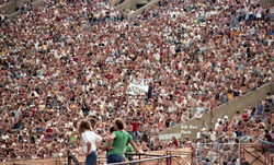 Fleetwood Mac / Steve Miller Band / Bob Welch / Sanford & Townshend on Jul 30, 1978 [306-small]