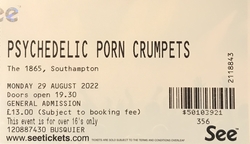 Psychedelic Porn Crumpets on Aug 29, 2022 [685-small]