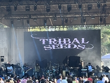 Dirty Heads / SOJA / Tribal Seeds / The Elovaters on Aug 10, 2022 [462-small]