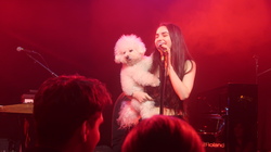 Greyson Chance / Dynamyte on Jan 11, 2023 [723-small]