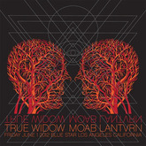 True Widow / Moab / Lantvrn on Jun 1, 2012 [495-small]
