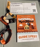 Gasparilla Music Festival on Mar 9, 2019 [896-small]