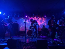 Vinyl Williams / Dendrons on Feb 17, 2023 [430-small]