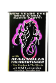 Magnolia Thunderfinger / The Brodys / The Skirts on Dec 31, 2000 [522-small]