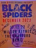 Black Spiders on Dec 17, 2022 [530-small]