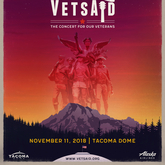 Joe Walsh & Friends Present: VetsAid 2018 on Nov 11, 2018 [008-small]