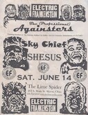 Electric Frankenstein / Professional Againsters / Sky Chief / Shesus on Jun 14, 2003 [961-small]