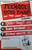 Groovie Ghoulies / Teenage Bottlerocket / Teenage Harlets on Jul 6, 2005 [133-small]