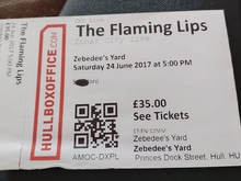 The Flaming Lips / Public Service Broadcasting / Dutch Uncles / Fonda 500 on Jun 24, 2017 [667-small]