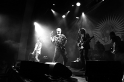 pop will eat itself on Oct 2, 2021 [513-small]