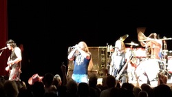 Jackyl on Nov 3, 2018 [264-small]