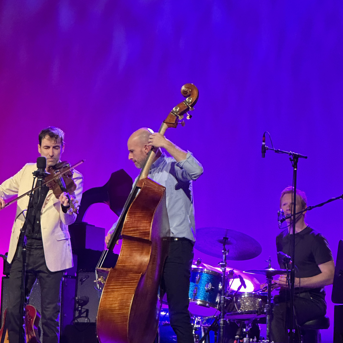 Andrew Bird Concert Photos Concert Archives