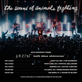 The Sound of Animals Fighting / Korine on Apr 13, 2023 [166-small]