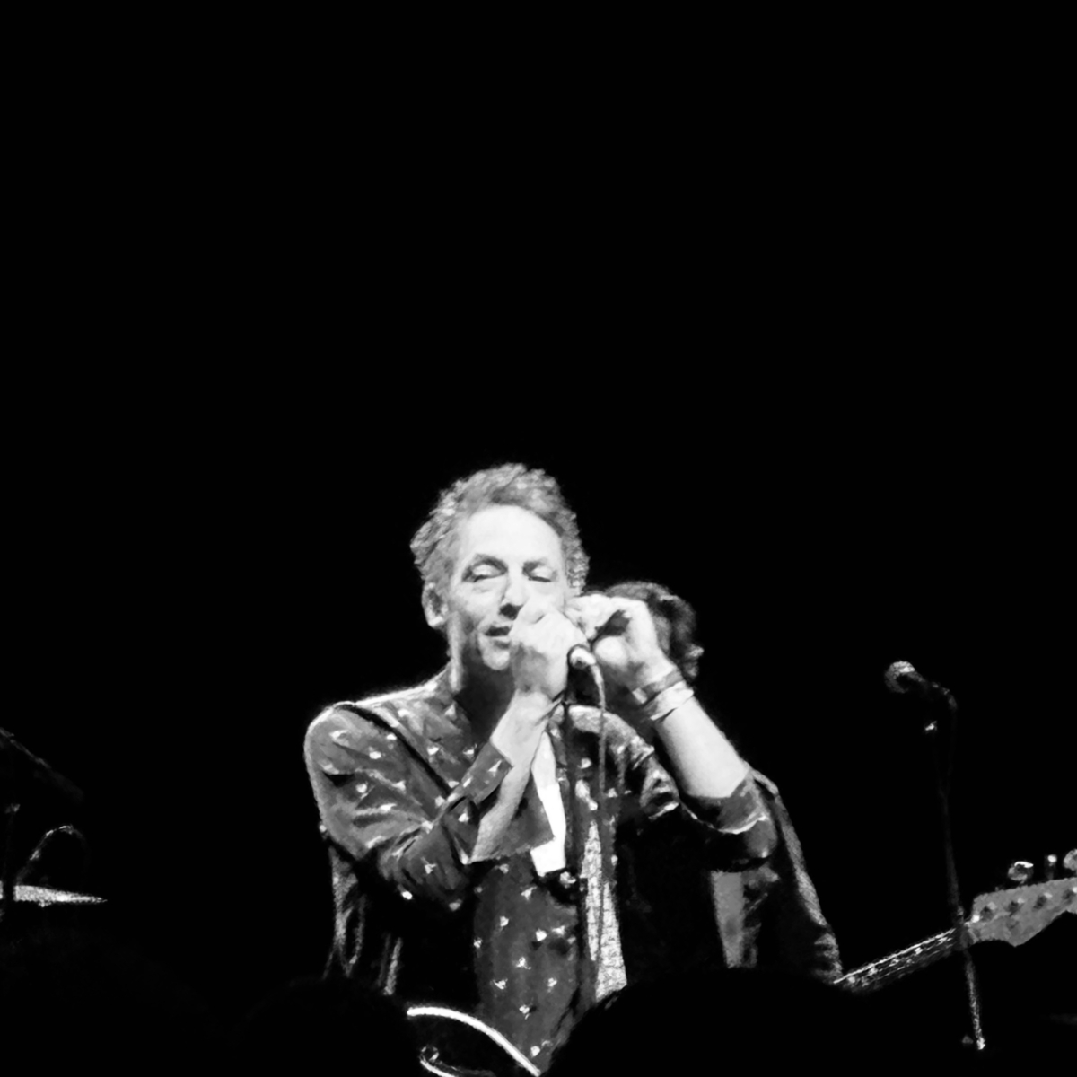 The Wallflowers Concert & Tour History (Updated for 2023) Concert