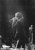 The Doors on Dec 10, 1967 [196-small]