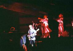 Barclay James Harvest on May 28, 1984 [225-small]