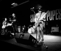 Smoking Popes / The Pink Spiders / Sunshine State / Amuse on Nov 7, 2018 [418-small]