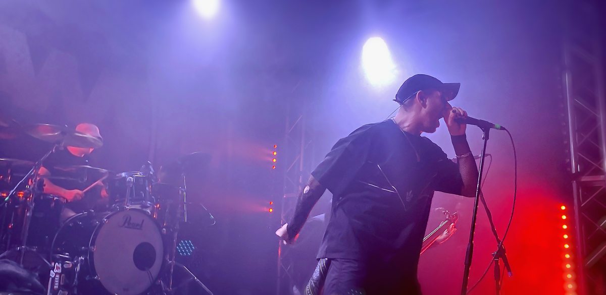 Alpha Wolf Concert & Tour History (Updated for 2023) Concert Archives