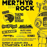 Merthyr Rock 2014 on Aug 17, 2014 [368-small]
