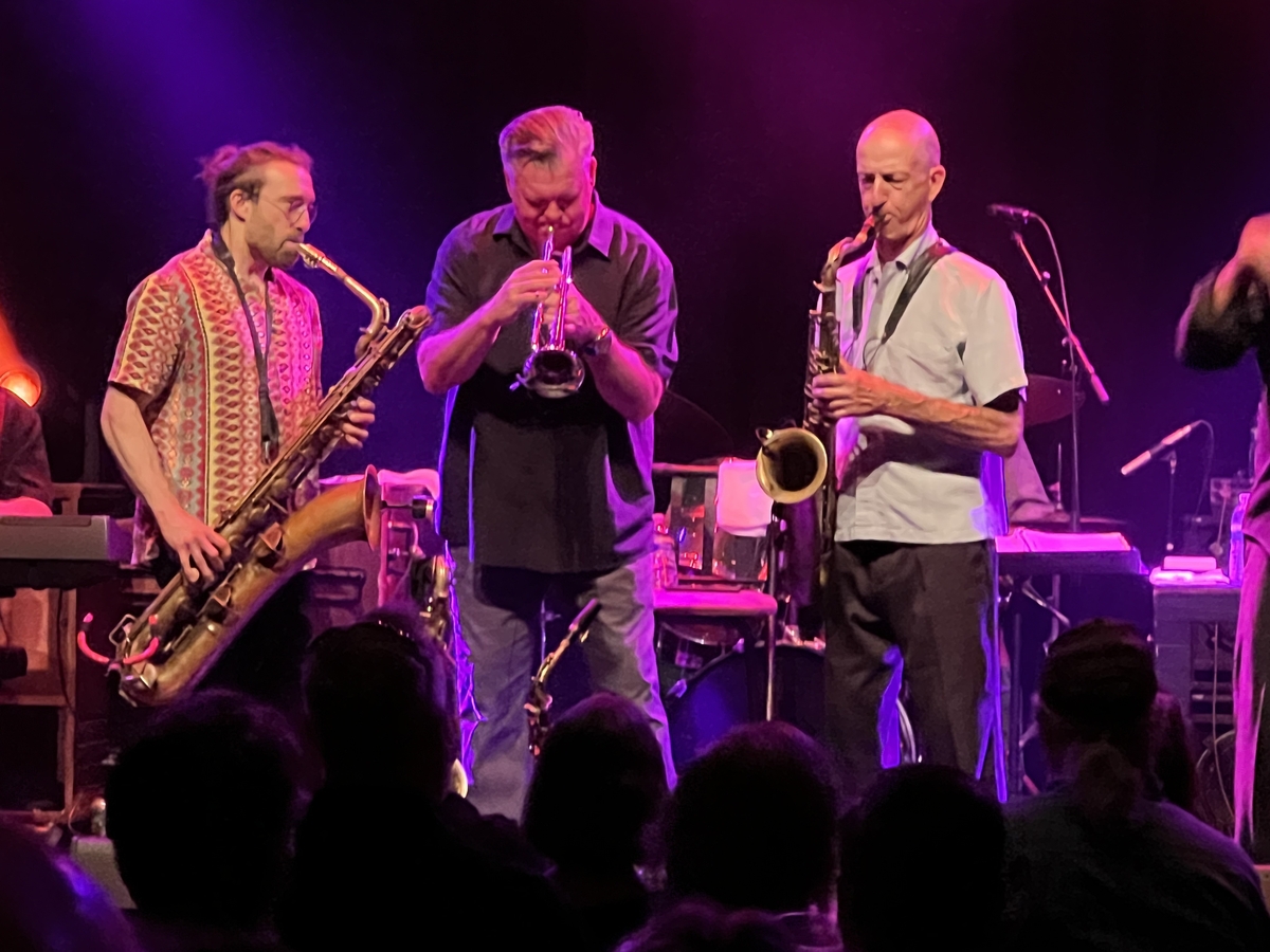 Blues Concerts Near Me 2025 Rowe Rebeka