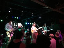 tags: Plush - Antarctigo Vespucci / AJJ / Plush on Apr 5, 2019 [768-small]