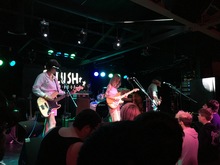 tags: Plush - Antarctigo Vespucci / AJJ / Plush on Apr 5, 2019 [769-small]