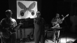 Soma Crew / The Wharf Street Galaxy Band on Dec 13, 2018 [608-small]