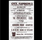 Lush / Babes in Toyland on Mar 28, 1992 [891-small]