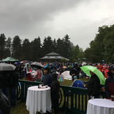 Ziggy Marley / Naomi Wachira on Jun 13, 2018 [368-small]