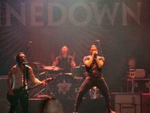 Shinedown / Halestorm / Liberty Lies on Feb 16, 2012 [605-small]