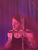 Joey Babick, Dogs in a Pile / Bodhi Mojo on Jun 8, 2023 [170-small]
