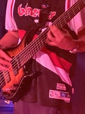 Sam Lucid, Dogs in a Pile / Bodhi Mojo on Jun 8, 2023 [180-small]