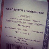 Aerosmith / Whitesnake on Oct 15, 2013 [647-small]