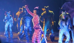 Katy Perry / Capital Cities / Ferras on Jul 21, 2014 [689-small]