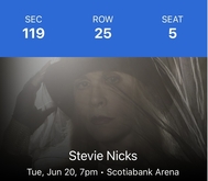 Stevie Nicks on Jun 20, 2023 [940-small]