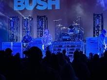 Bush on Feb 24, 2023 [463-small]