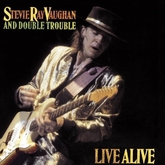 Stevie Ray Vaughn & Double Trouble / Gregg Allman / The Fabulous Thunderbirds on Jun 20, 1987 [004-small]