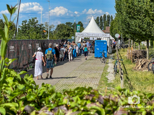 Stars of Sounds Murten 2023 on Jul 6, 2023 [233-small]